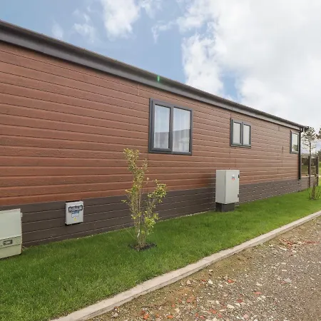 Sea Holly Saltburn-by-the-Sea