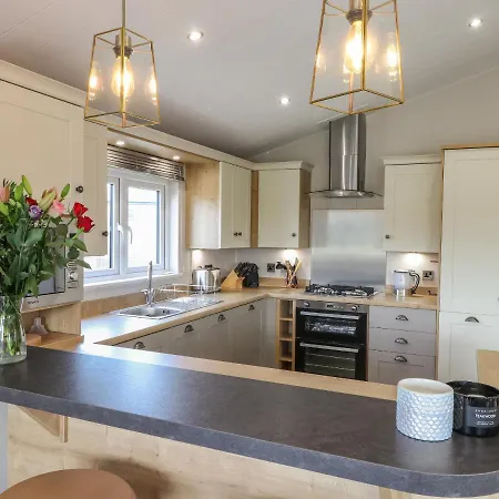 Sea Holly Saltburn-by-the-Sea